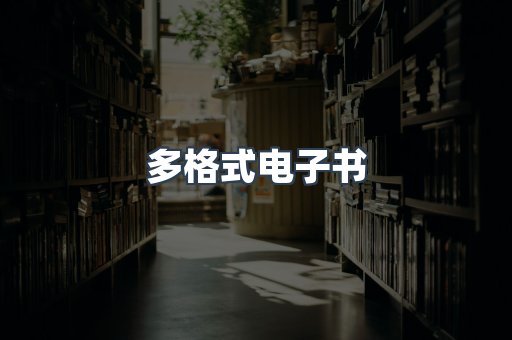 多格式电子书